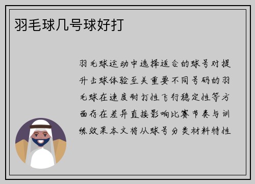 羽毛球几号球好打